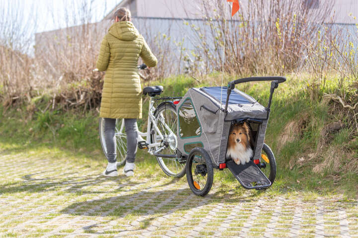 TRIXIE Fahrradanhänger mit Rampe